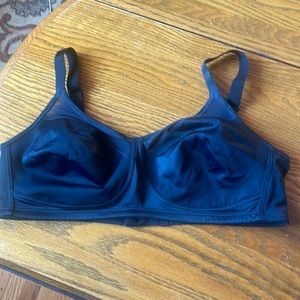 38c bra